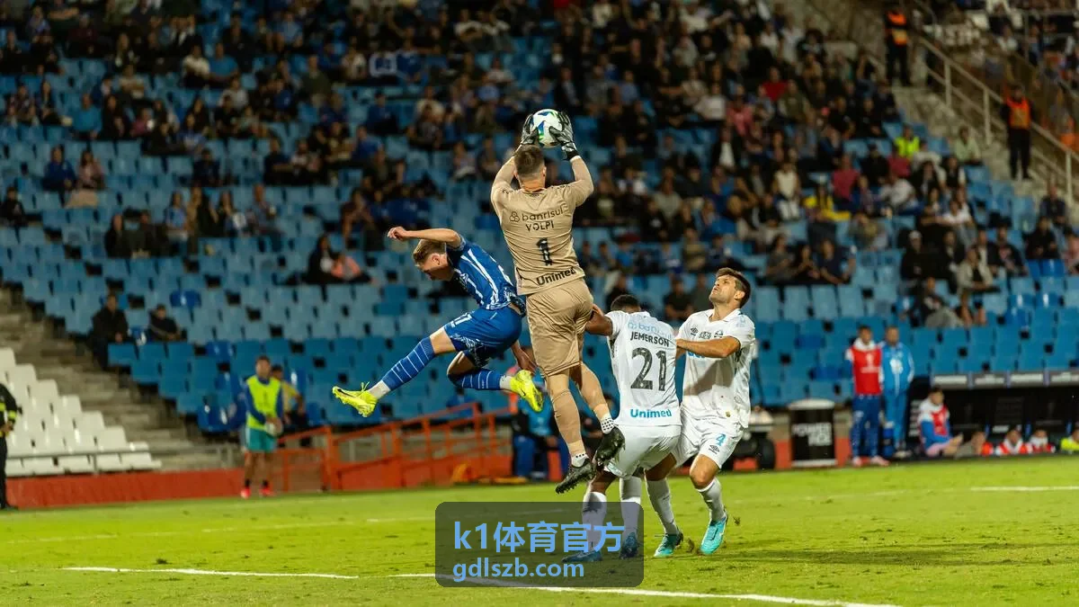 k1体育官方会员体系概览图