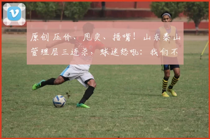 原创 压价、甩卖、捂嘴！山东泰山管理层三连杀，球迷怒吼：我们不要水货要尊严！