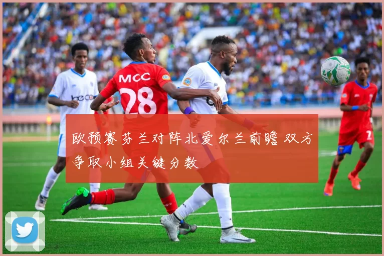 欧预赛芬兰对阵北爱尔兰前瞻 双方争取小组关键分数