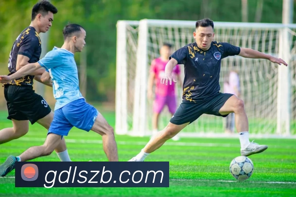 多媒体互动体验